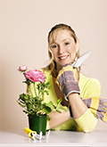 Trees Rose Gardening Getmyinfo Info Naturehills